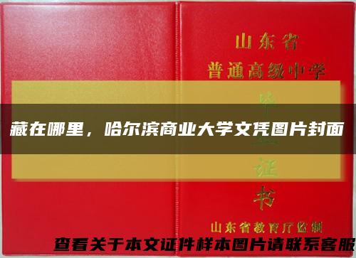 藏在哪里，哈尔滨商业大学文凭图片封面缩略图