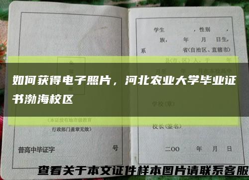 如何获得电子照片，河北农业大学毕业证书渤海校区缩略图