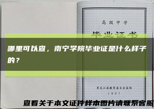 哪里可以查，南宁学院毕业证是什么样子的？缩略图