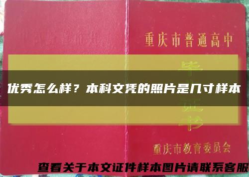 优秀怎么样？本科文凭的照片是几寸样本缩略图