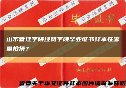 山东管理学院经贸学院毕业证书样本在哪里拍摄？缩略图