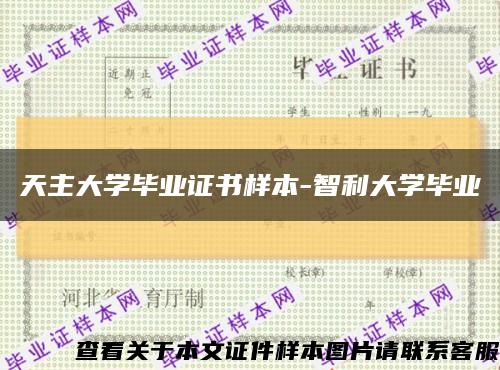 天主大学毕业证书样本-智利大学毕业缩略图