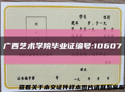 广西艺术学院毕业证编号:10607缩略图