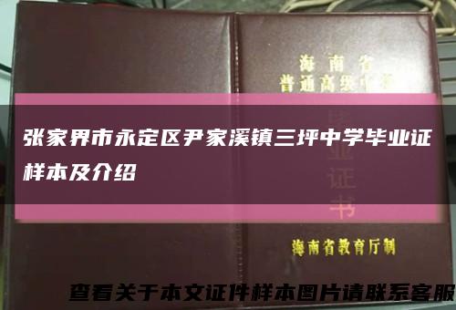 张家界市永定区尹家溪镇三坪中学毕业证样本及介绍缩略图