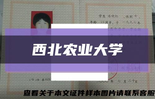 西北农业大学缩略图