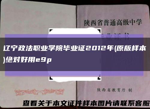 辽宁政法职业学院毕业证2012年(原版样本)绝对好用e9p缩略图