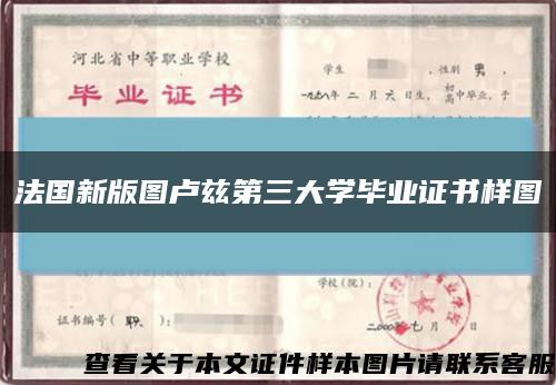 法国新版图卢兹第三大学毕业证书样图缩略图