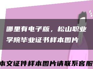 哪里有电子版，松山职业学院毕业证书样本图片缩略图