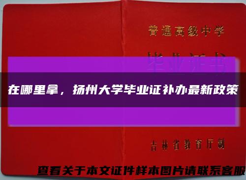 在哪里拿，扬州大学毕业证补办最新政策缩略图