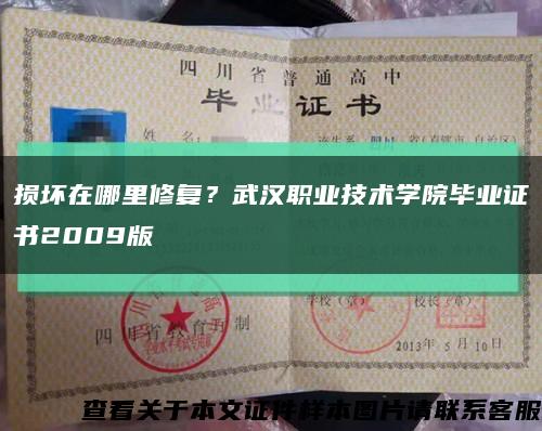 损坏在哪里修复？武汉职业技术学院毕业证书2009版缩略图