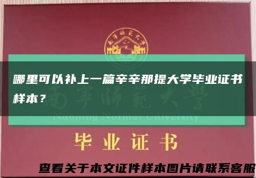 哪里可以补上一篇辛辛那提大学毕业证书样本？缩略图