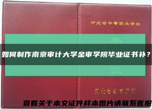 如何制作南京审计大学金审学院毕业证书补？缩略图