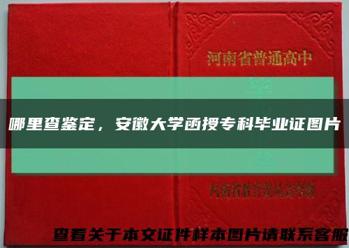 哪里查鉴定，安徽大学函授专科毕业证图片缩略图