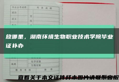 放哪里，湖南环境生物职业技术学院毕业证补办缩略图