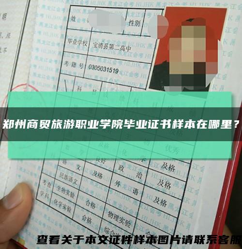 郑州商贸旅游职业学院毕业证书样本在哪里？缩略图