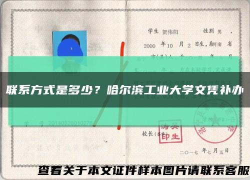 联系方式是多少？哈尔滨工业大学文凭补办缩略图