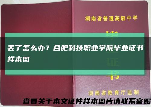 丢了怎么办？合肥科技职业学院毕业证书样本图缩略图