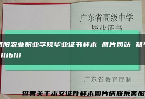 南阳农业职业学院毕业证书样本 图片网站 知乎bilibili缩略图