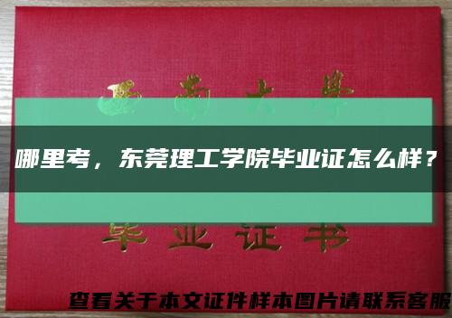 哪里考，东莞理工学院毕业证怎么样？缩略图