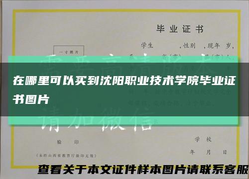 在哪里可以买到沈阳职业技术学院毕业证书图片缩略图