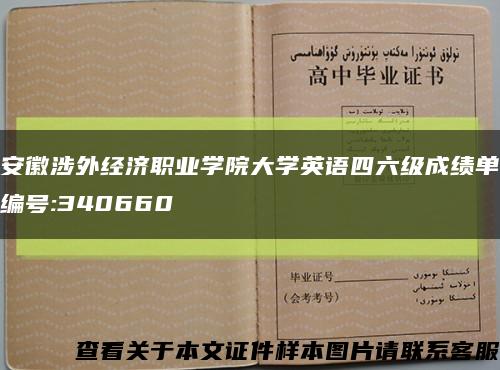 安徽涉外经济职业学院大学英语四六级成绩单编号:340660缩略图