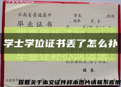 学士学位证书丢了怎么补缩略图