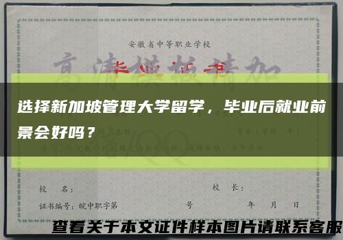 选择新加坡管理大学留学，毕业后就业前景会好吗？缩略图