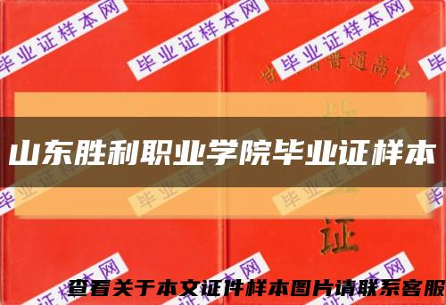 山东胜利职业学院毕业证样本缩略图