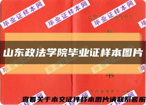 山东政法学院毕业证样本图片缩略图