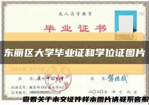 东丽区大学毕业证和学位证图片缩略图