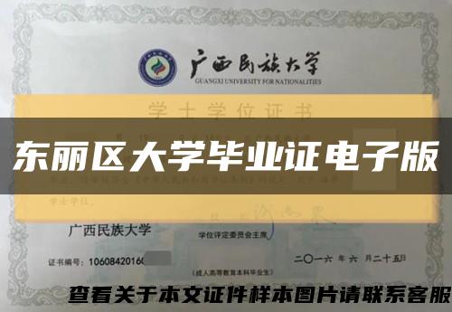 东丽区大学毕业证电子版缩略图