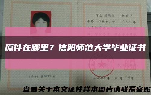 原件在哪里？信阳师范大学毕业证书缩略图