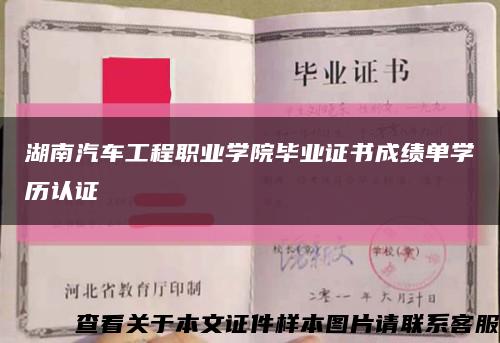 湖南汽车工程职业学院毕业证书成绩单学历认证缩略图