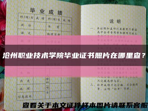 沧州职业技术学院毕业证书照片在哪里查？缩略图