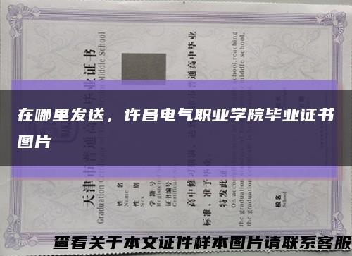 在哪里发送，许昌电气职业学院毕业证书图片缩略图