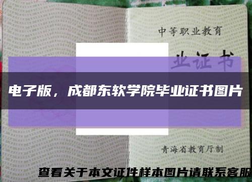 电子版，成都东软学院毕业证书图片缩略图