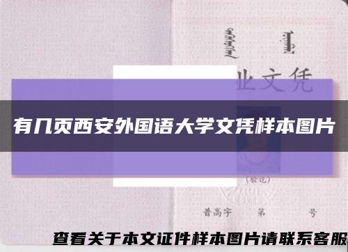 有几页西安外国语大学文凭样本图片缩略图