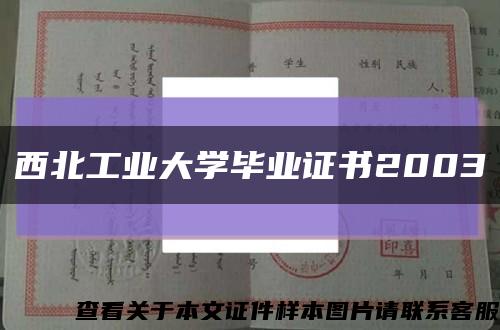 西北工业大学毕业证书2003缩略图