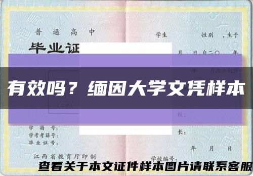 有效吗？缅因大学文凭样本缩略图