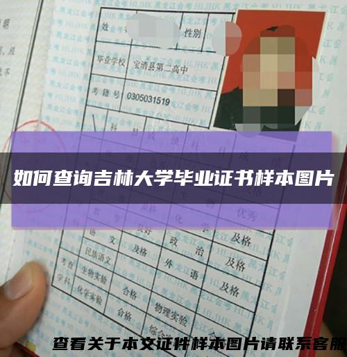 如何查询吉林大学毕业证书样本图片缩略图