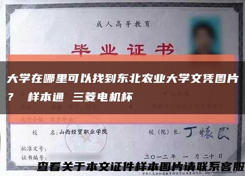 大学在哪里可以找到东北农业大学文凭图片？ 样本通 三菱电机杯缩略图