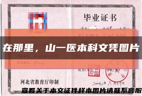 在那里，山一医本科文凭图片缩略图