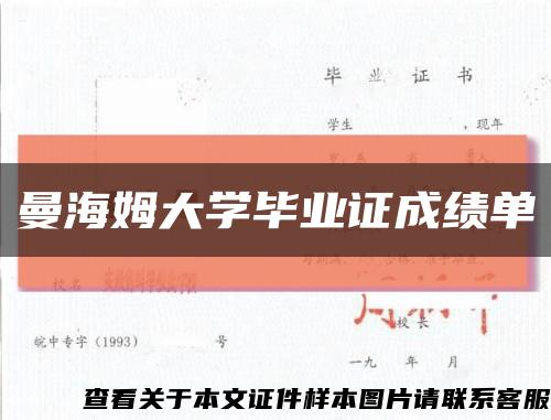 曼海姆大学毕业证成绩单缩略图