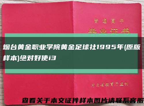 烟台黄金职业学院黄金足球社1995年(原版样本)绝对好使i3缩略图