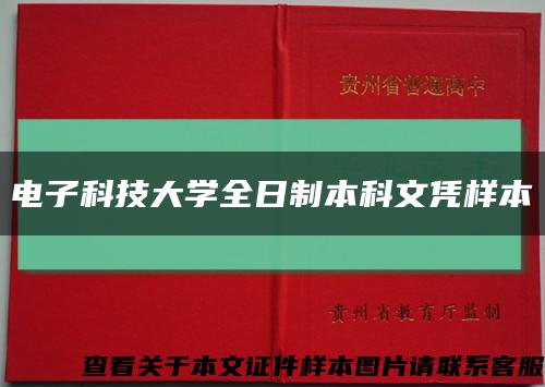 电子科技大学全日制本科文凭样本缩略图