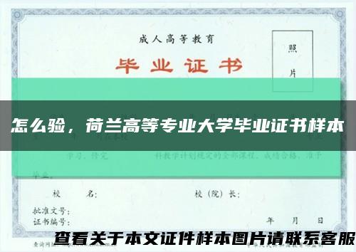 怎么验，荷兰高等专业大学毕业证书样本缩略图