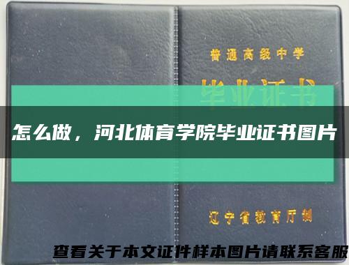 怎么做，河北体育学院毕业证书图片缩略图