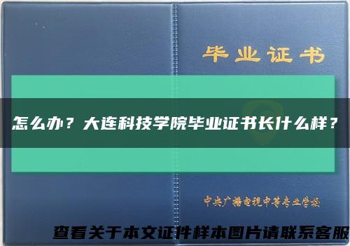 怎么办？大连科技学院毕业证书长什么样？缩略图