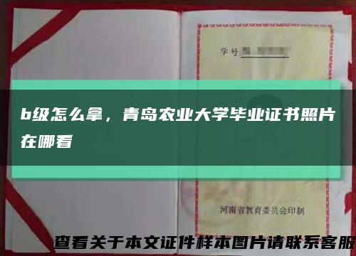 b级怎么拿，青岛农业大学毕业证书照片在哪看缩略图