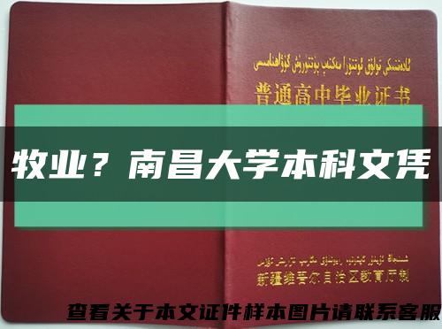 牧业？南昌大学本科文凭缩略图